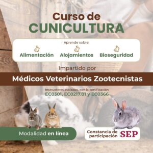 Curso de Cunicultura