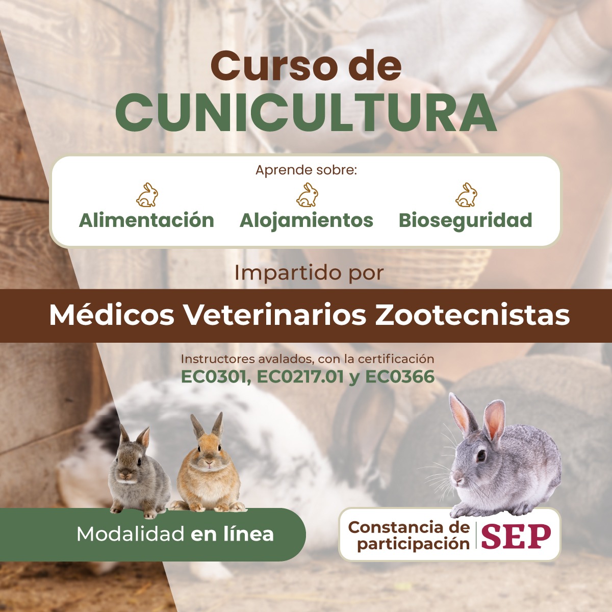 Curso de Cunicultura