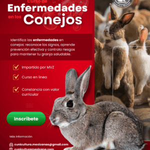Curso de enfermedades en el conejo